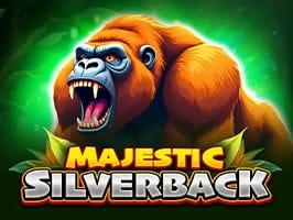 Majestic Silverback